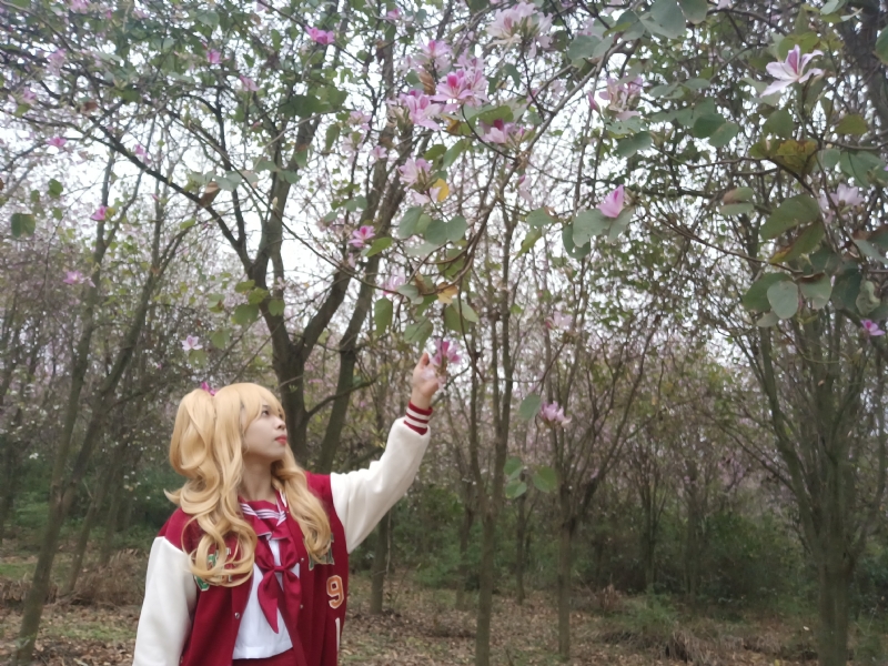 暮秋的第一张照片--南宁认干亲服务网