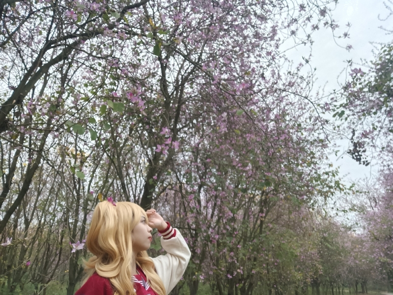 暮秋的第五张照片--南宁认干亲服务网